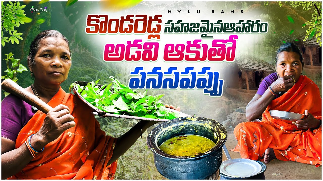 ఇలాంటి  కొండకూరలు ఎప్పుడైనా తిన్నారా ! అడవిబిడ్డల అదృష్టం / Organic food from forest @TribalMirror