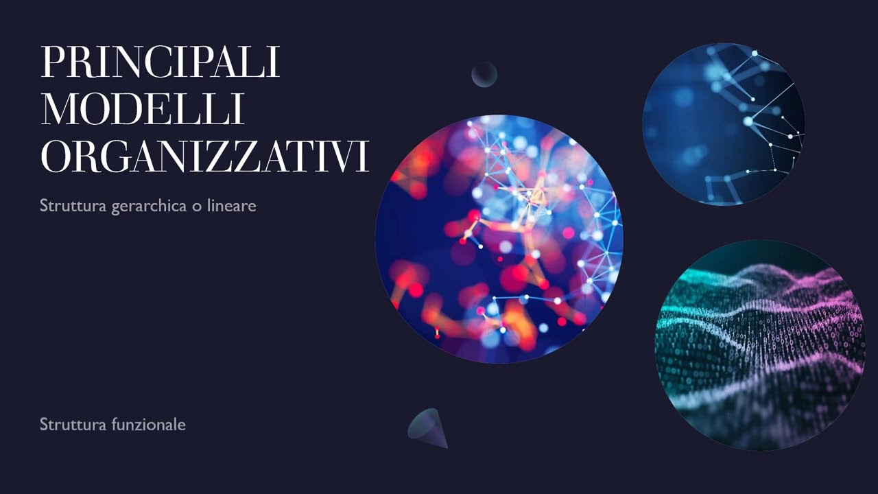 PRINCIPALI MODELLI ORGANIZZATIVI
