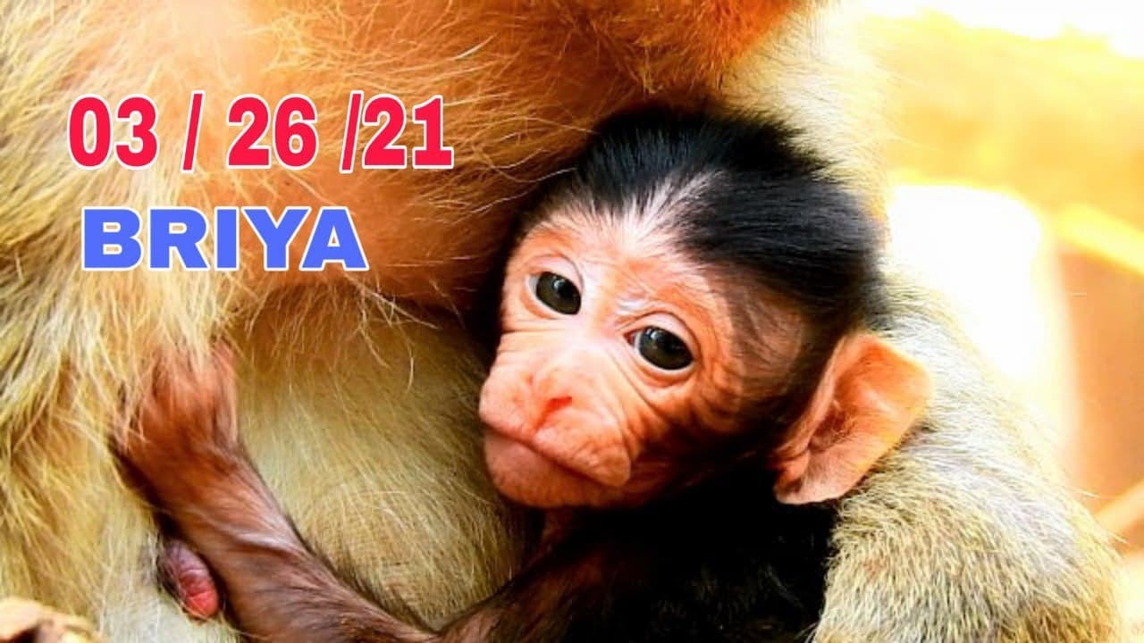 Breaking News.....Mom Brinn Just Giving Birth a Cute Baby Newborn Today, Baby is Girl Name Briya.