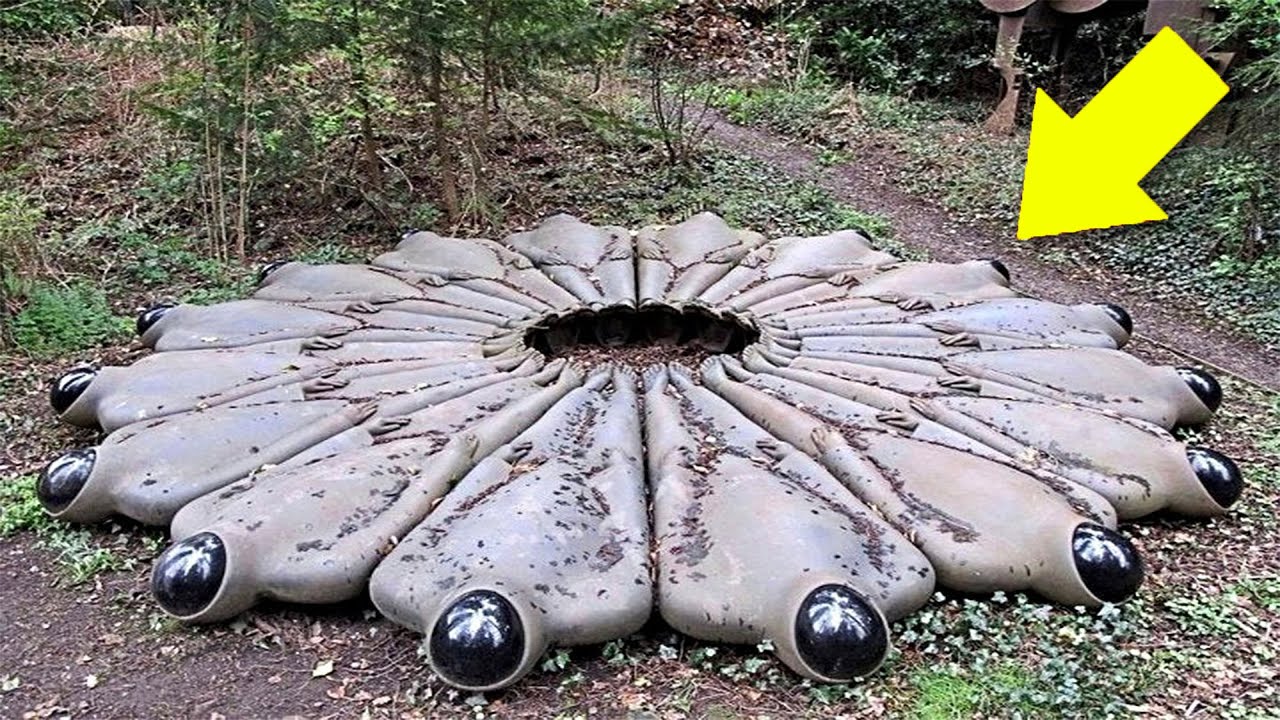 10 Choses Étranges Trouvées Dans La Jungle