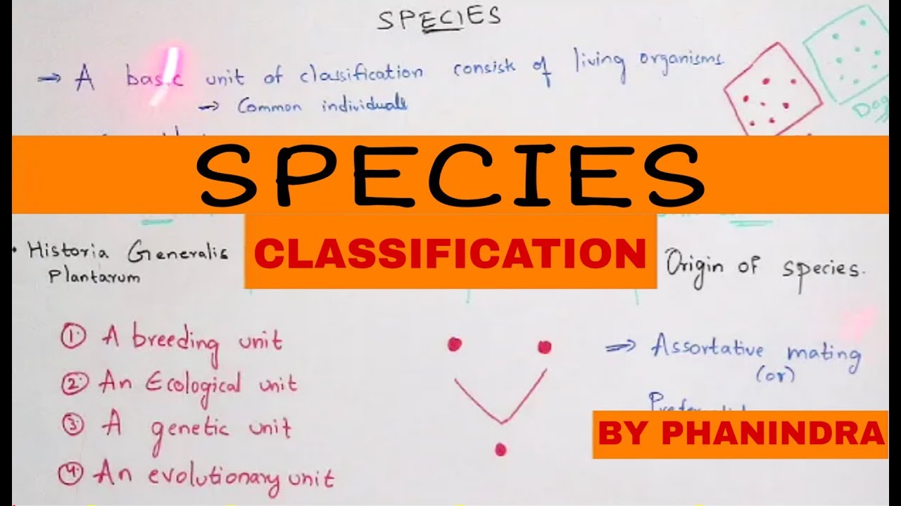 SPECIES || EXAMPLES || CLASSIFICATION || BY PHANINDRA GUPTA