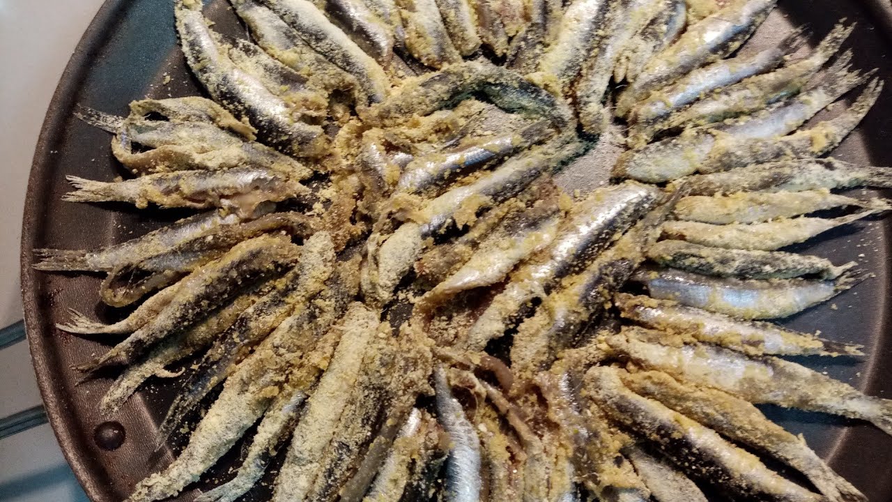 Frying  European anchovy (hamsi) #142 الأنشوجة