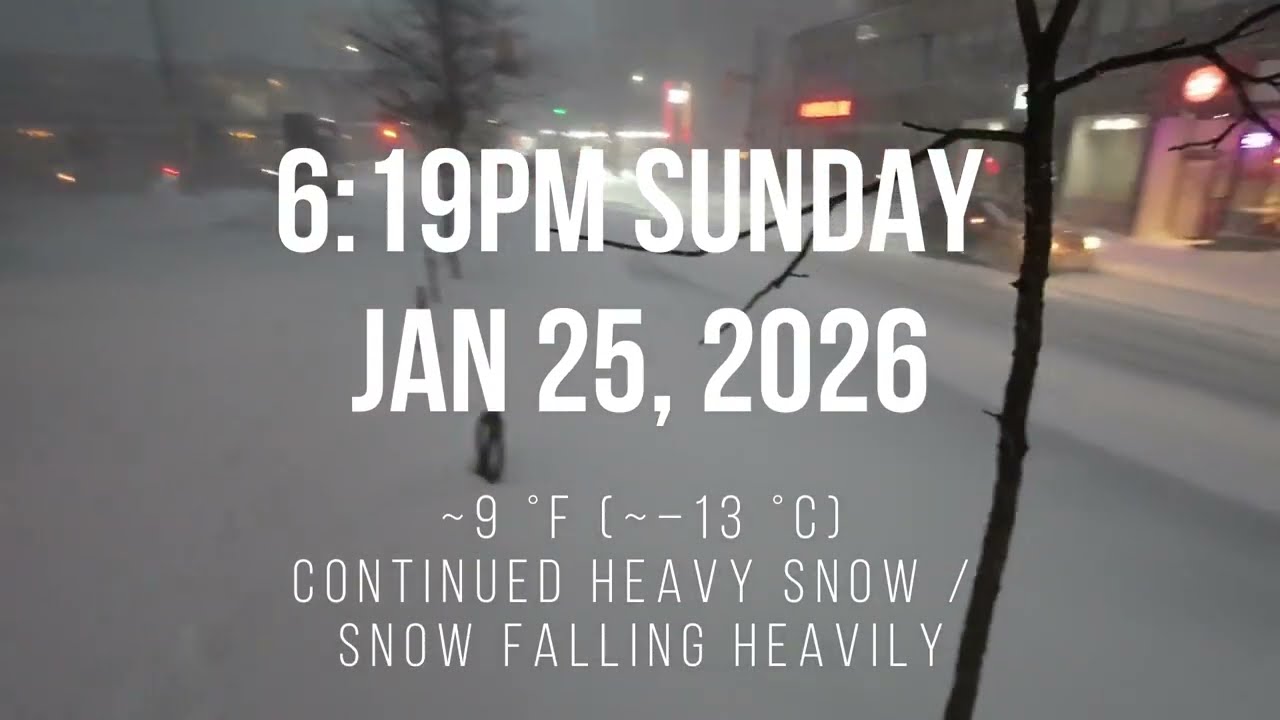 Walking in a Toronto Winter Storm ❄️ Downtown Blizzard | Jan 25, 2026