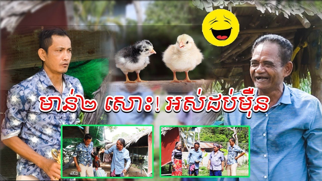 មាន់ ២សោះ អស់លុយ ១០ម៉ឺនរៀល