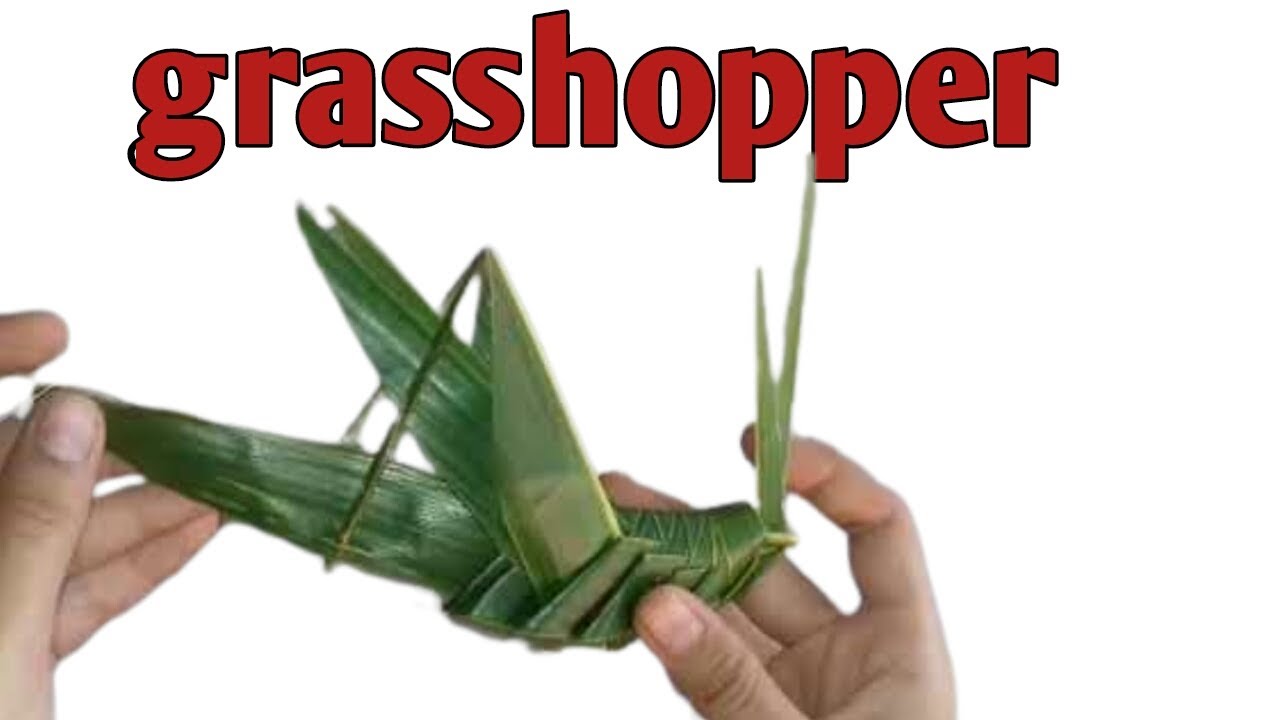 How to make a Grasshopper from coconut leaves - coconut leaf crafts