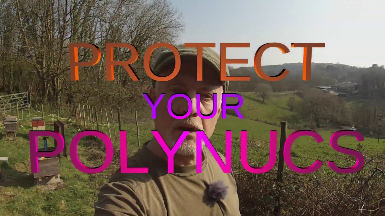 Protect your Polynucs!