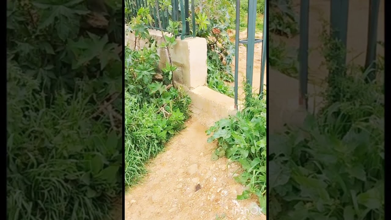 الطبيعة نعمة من نعم الله التي لا تعد ولا تحصى /المغرب🇲🇦🇲🇦