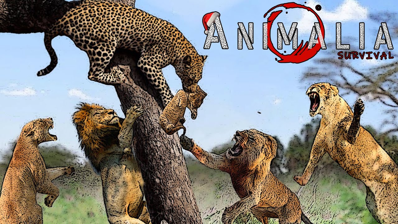 Lion Thief is BACK !  - Animalia Survival