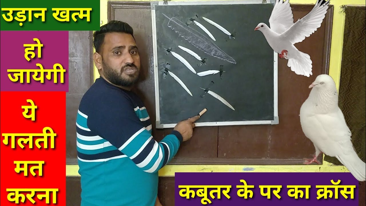 Udan khatam ho jayegi ye Galti ki to Par ka cross