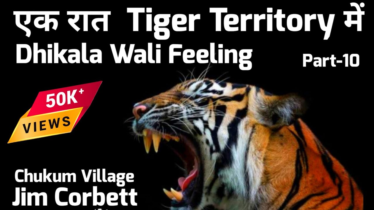 एक रात Tiger Territory में | Dhikala Wali Feeling | Chukum Village #wildlife #tiger #jimcorbett P-10