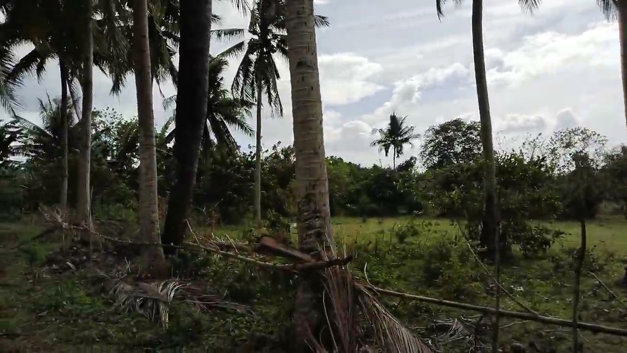 PROPERTY FOR SALE IN MAGDALENA LAGUNA