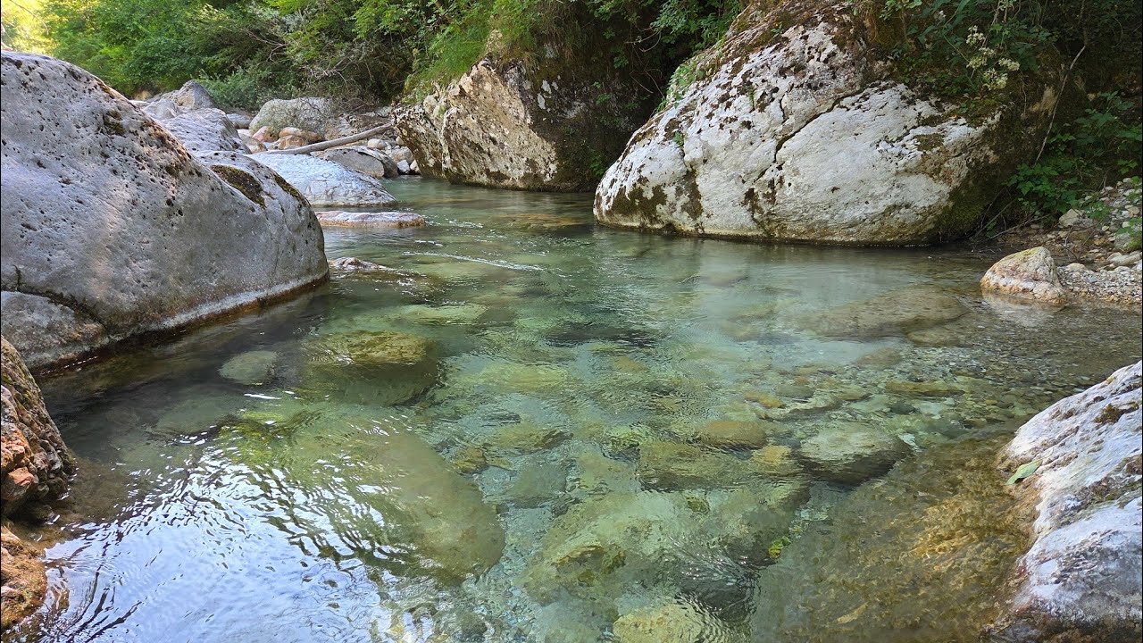 Fario/Marmorate a Mosca Secca in Torrente