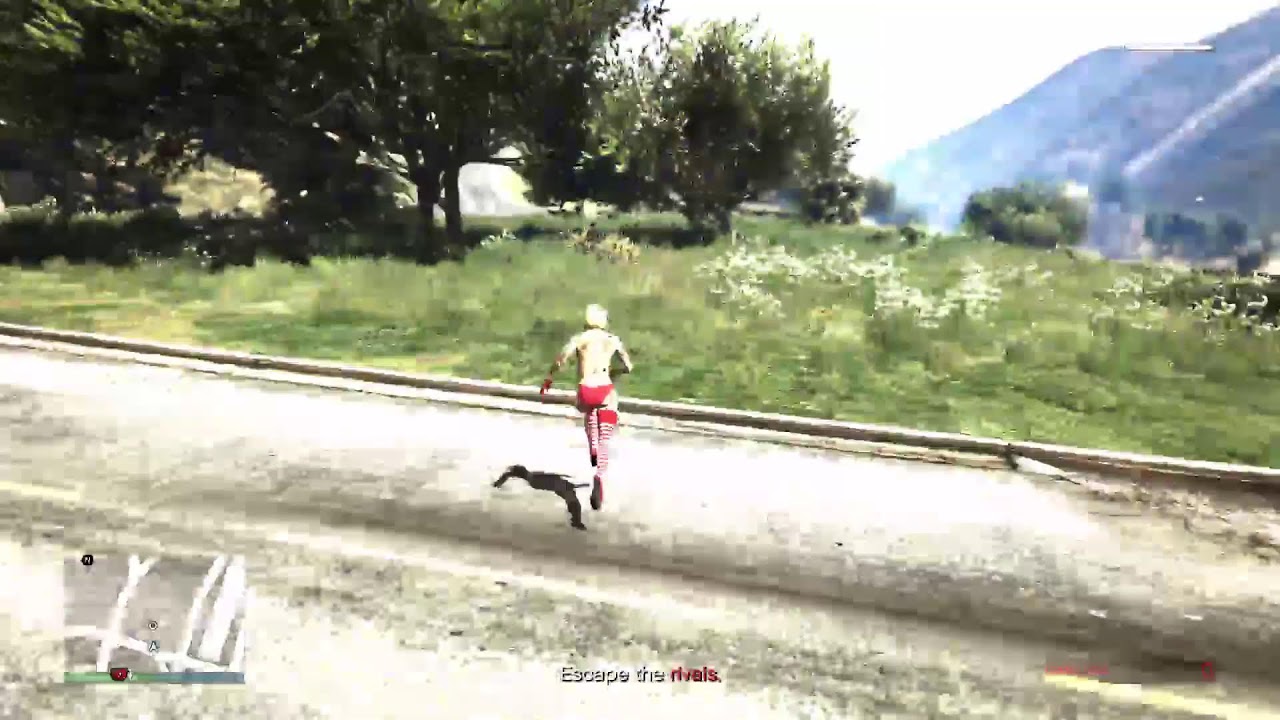 ,.l.. (-_-) ..l., GTAO Free roam