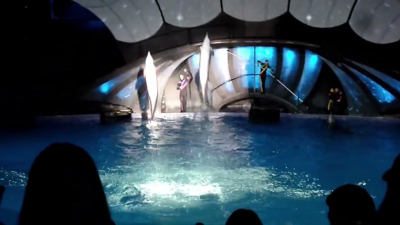 Georgia Aquarium - 2018
