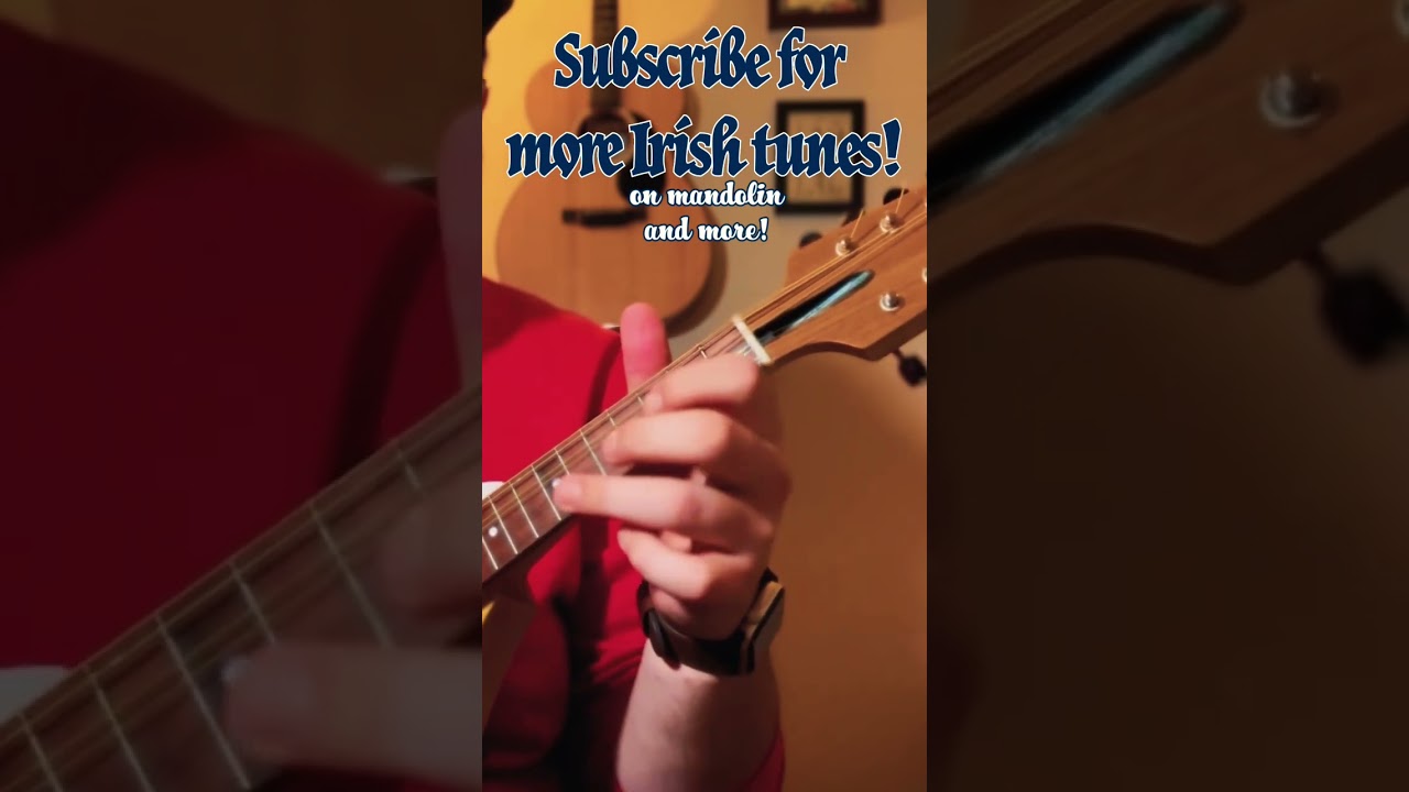 Ships Are Sailing / #irishreel / #irishtrad #irishtraditionalmusic #tenorbanjo #irishmandolin #mando
