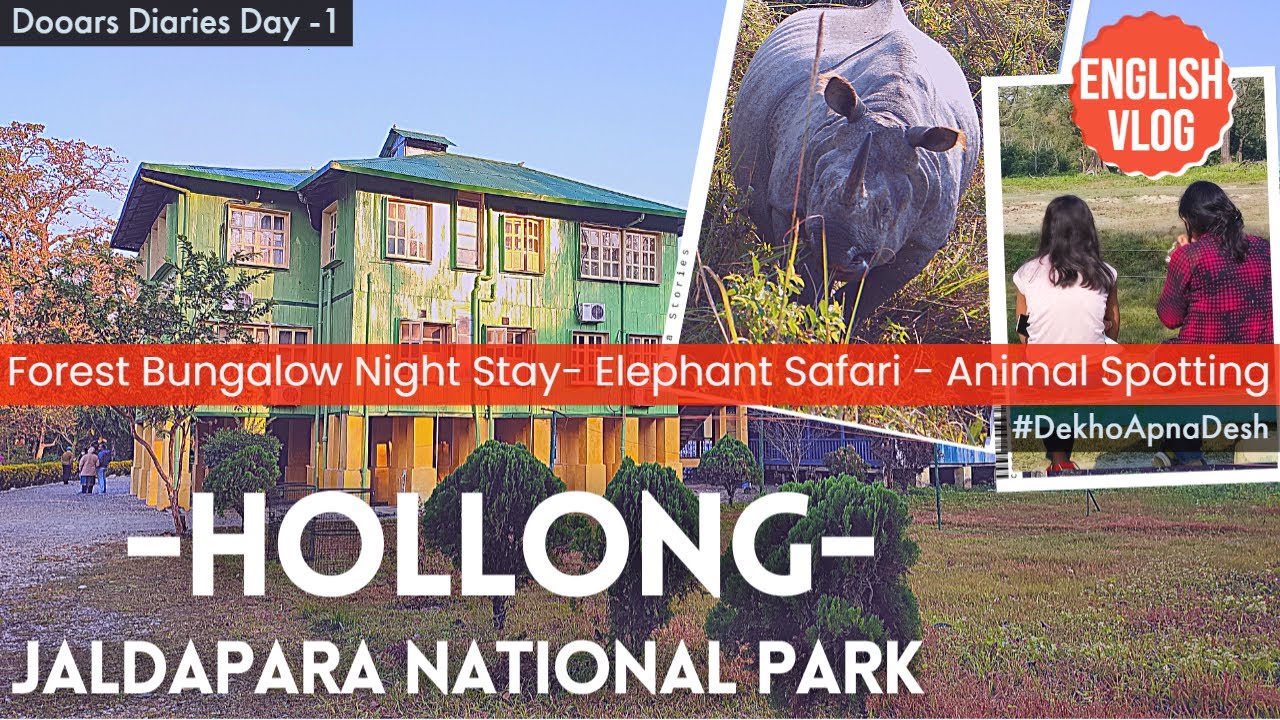 JALDAPARA NATIONAL PARK, HOLLONG TOURIST LODGE | Elephant Safari, Spotting Animal at Holong Bungalow
