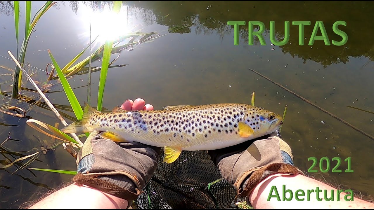 TRUTA