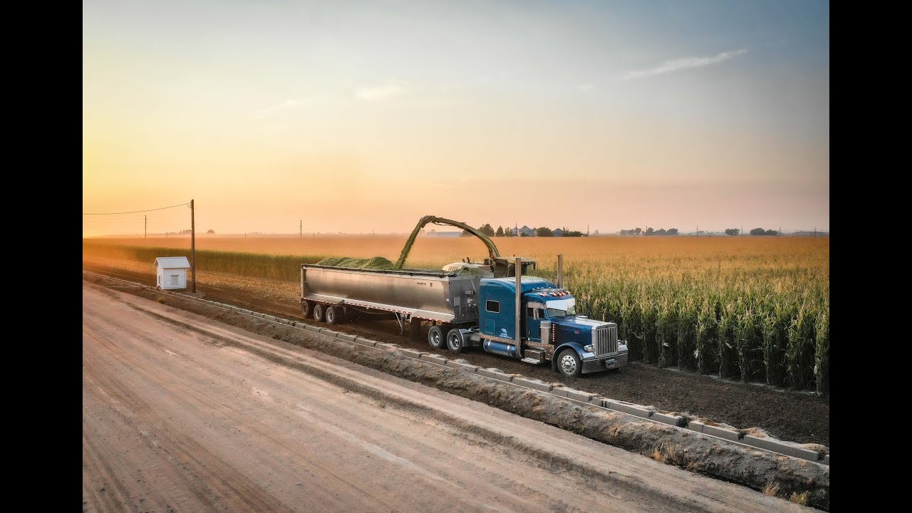 Hoffman + 4 C Sons Silage 2020