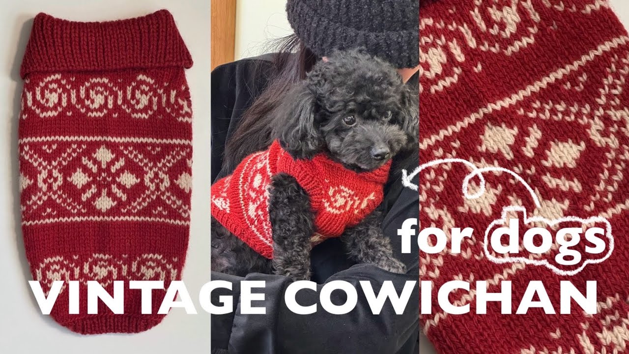 뜨개로그 ep.2 | 강아지를 위한 작은 코위찬 한 벌🐾 • VINTAGE COWICHAN for dogs