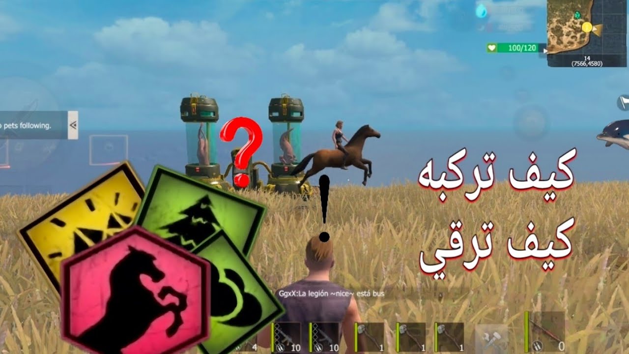 كيف ركوب حصان كيف تطور حصان رست موبايل Cute ride a horse last island of survival