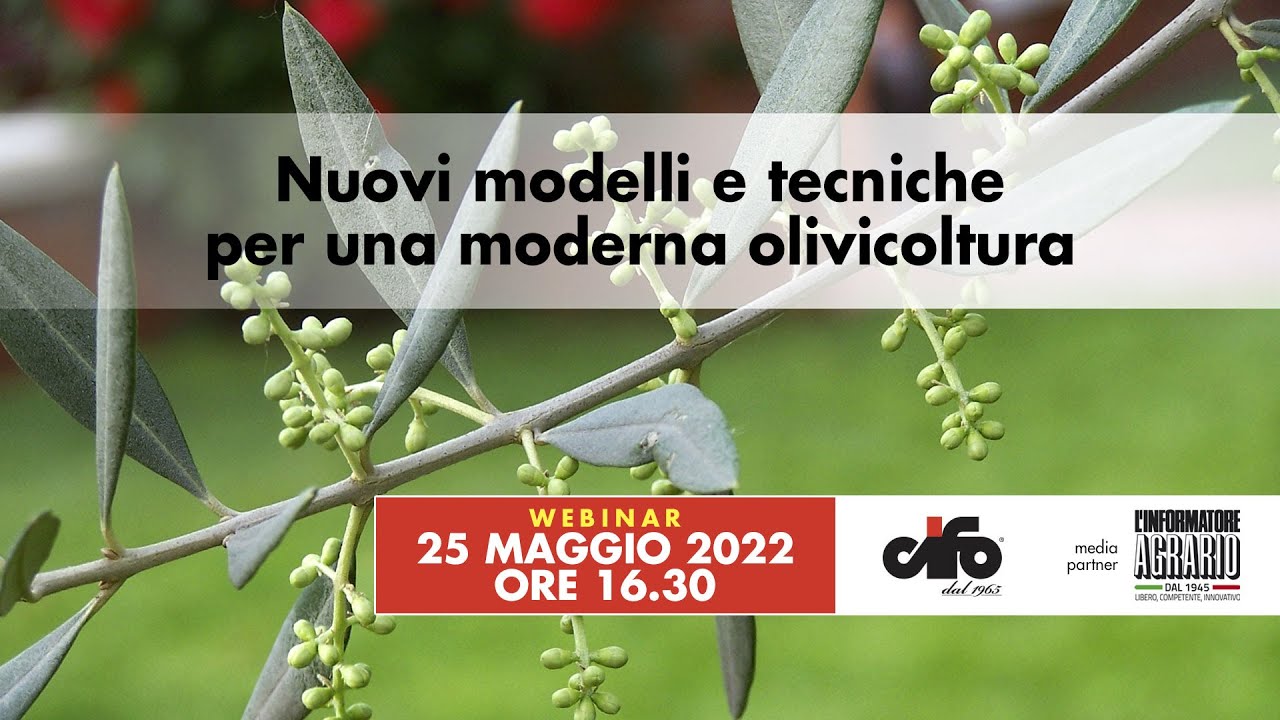 Nuovi modelli e tecniche per una moderna olivicoltura