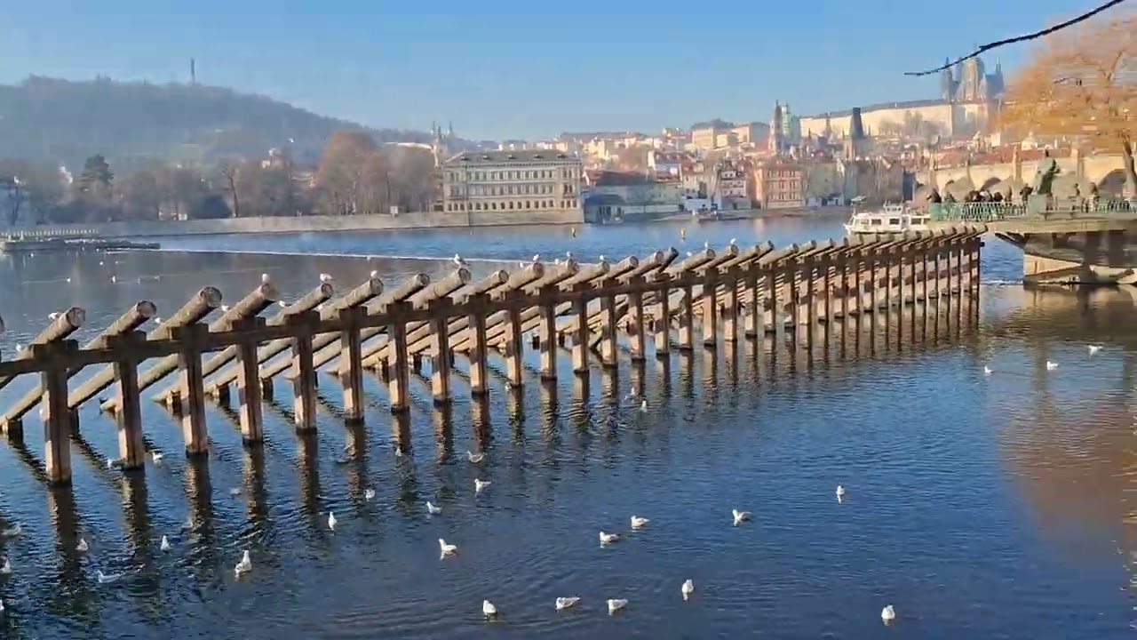 Прага 