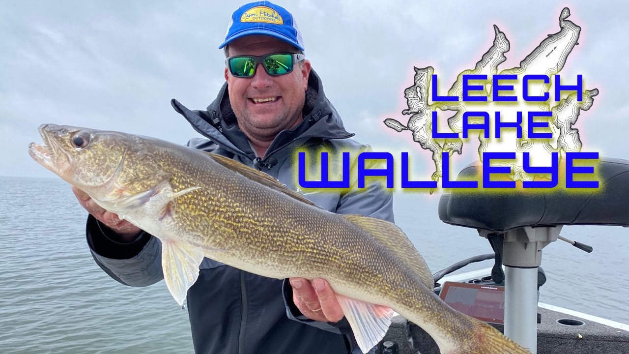 Leech Lake Walleye on the Rocks