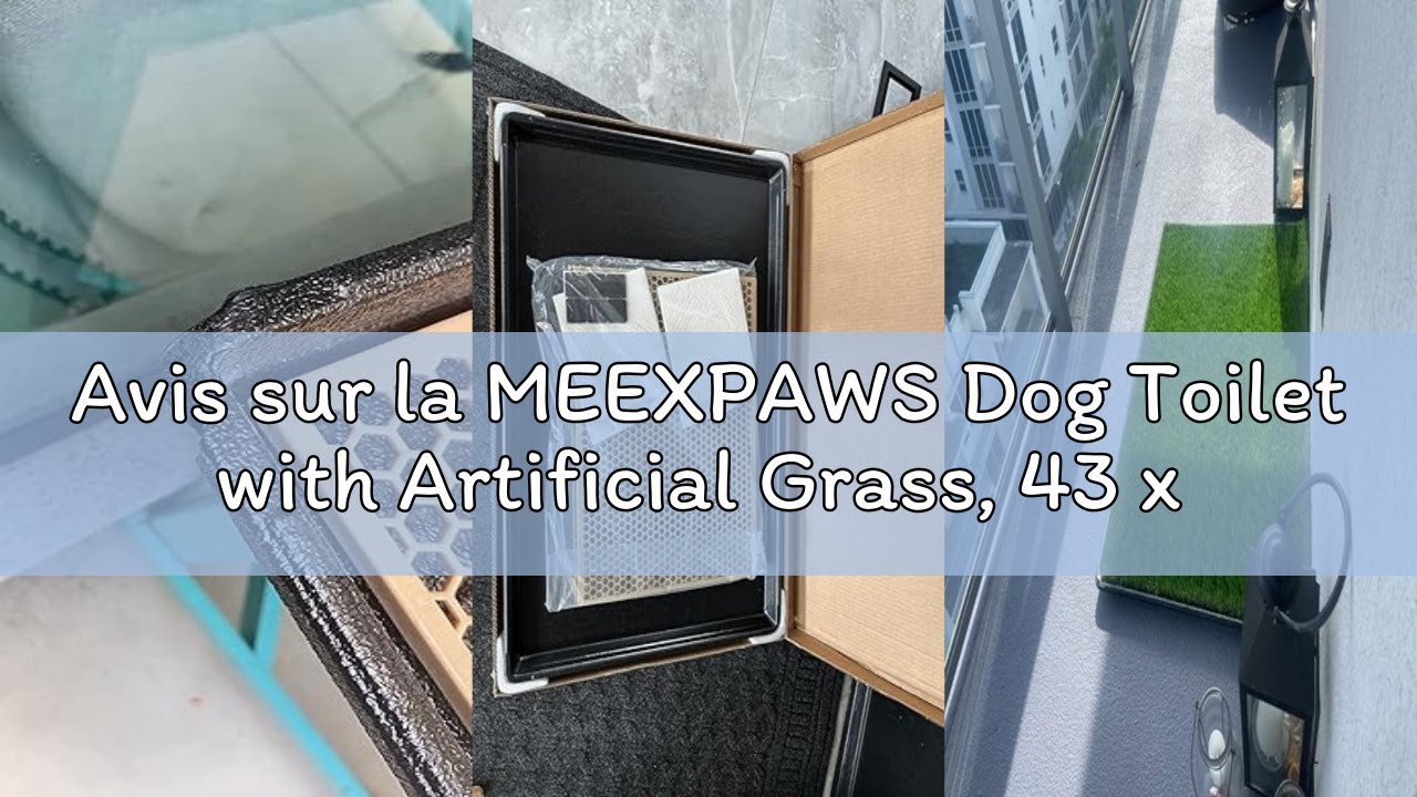 Avis sur la MEEXPAWS Dog Toilet with Artificial Grass, 43 x 33 cm Dog Litter Trays with Artificial L