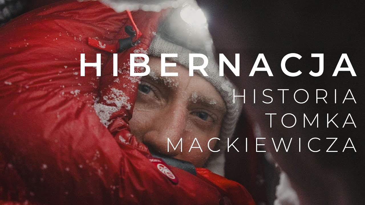 Hibernacja - Historia Tomka Mackiewicza