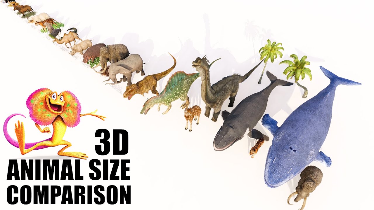 How Big were Animals? Size Comparison | New🐫🐘🐳🐊🦝🦖| Version 2.0