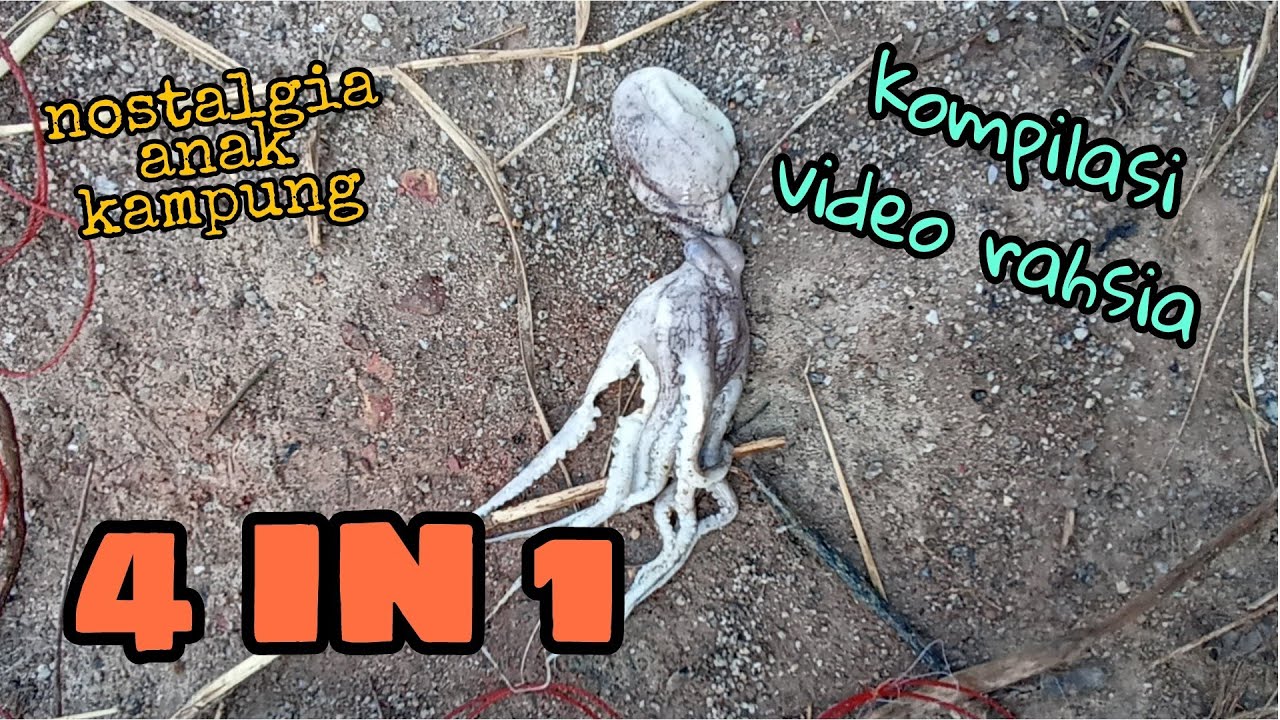 #EP516 Kompilasi Video Rahsia 4 dalam 1 - tak semua yang kita rancang menjadi
