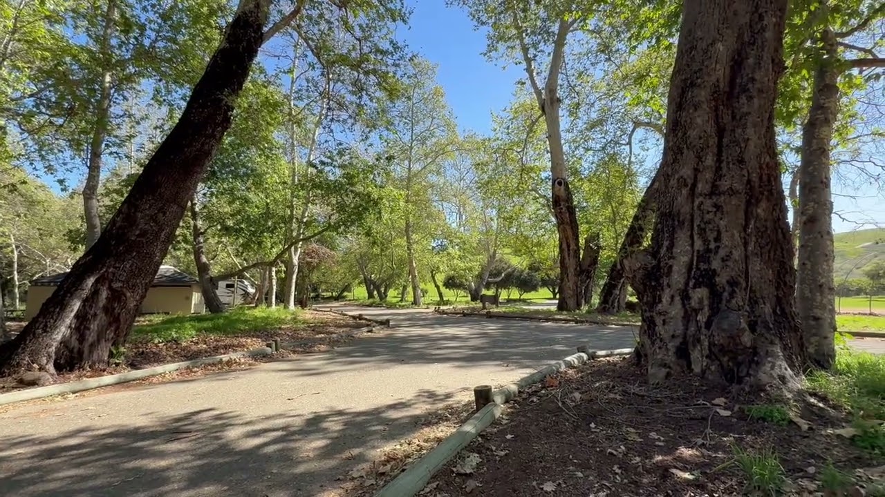Birding at Biddle Regional Park