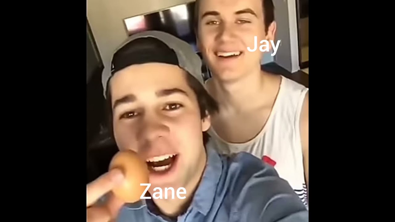 Ninjago Characters As Vines!- Part 1