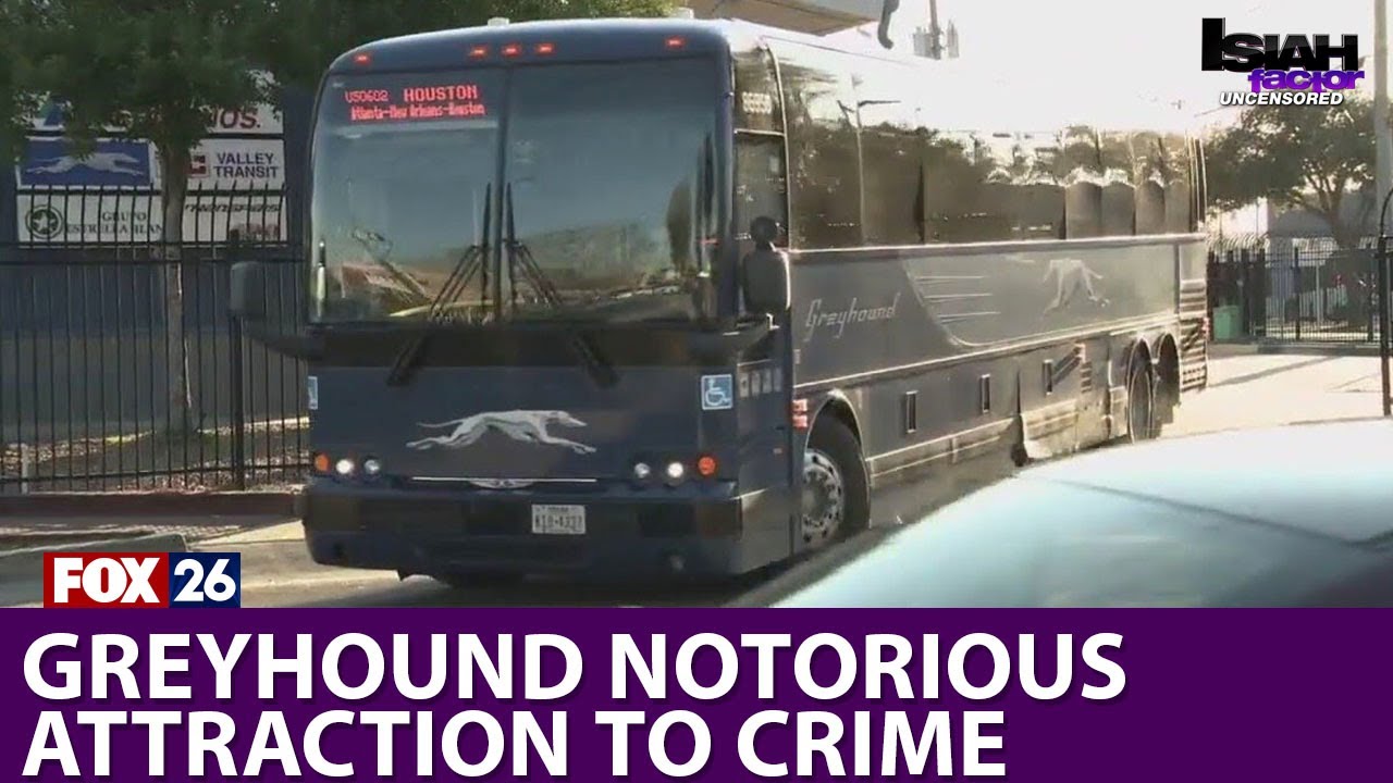 Greyhound notorious attraction to crime