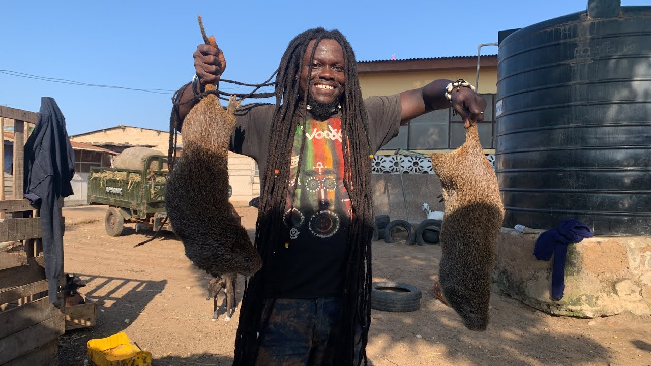 The Effect Of Inbreeding In Grasscutter (Cane Rat) Farming