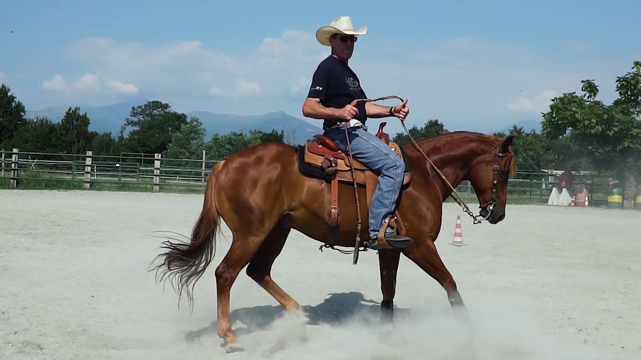 Rolanda Quarter Horses - Bairo - Turin - Italy