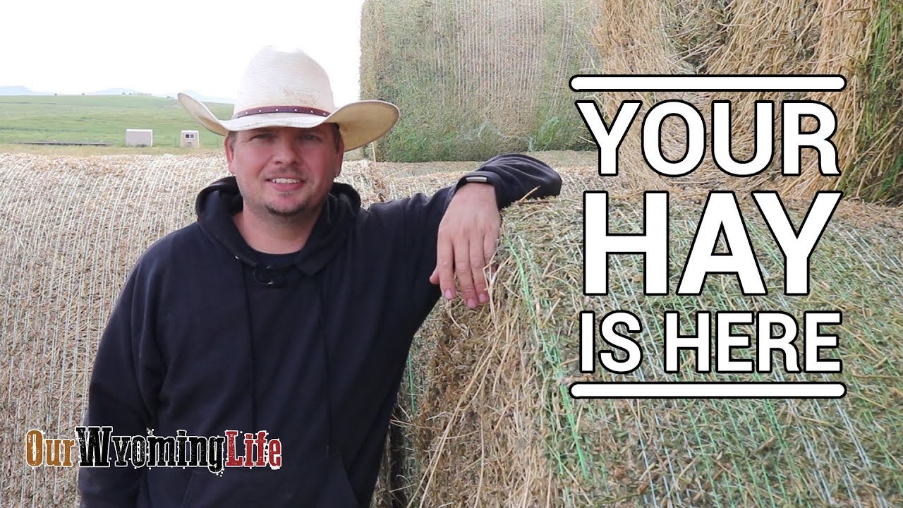 Unloading Hay on the Ranch ... Thanks to You & Our Community!