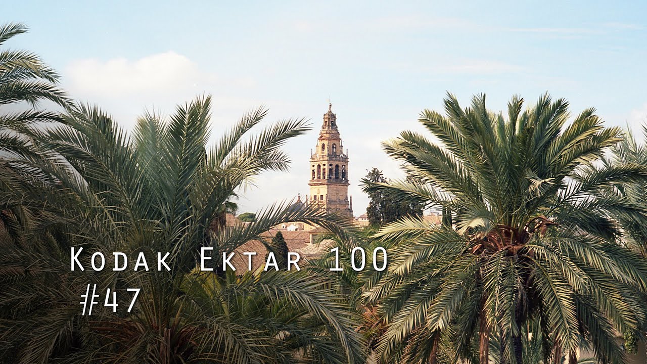 Travel Film Photography Andalusia, Spain | Kodak Ektar 100 | Nikon FE2 | #47