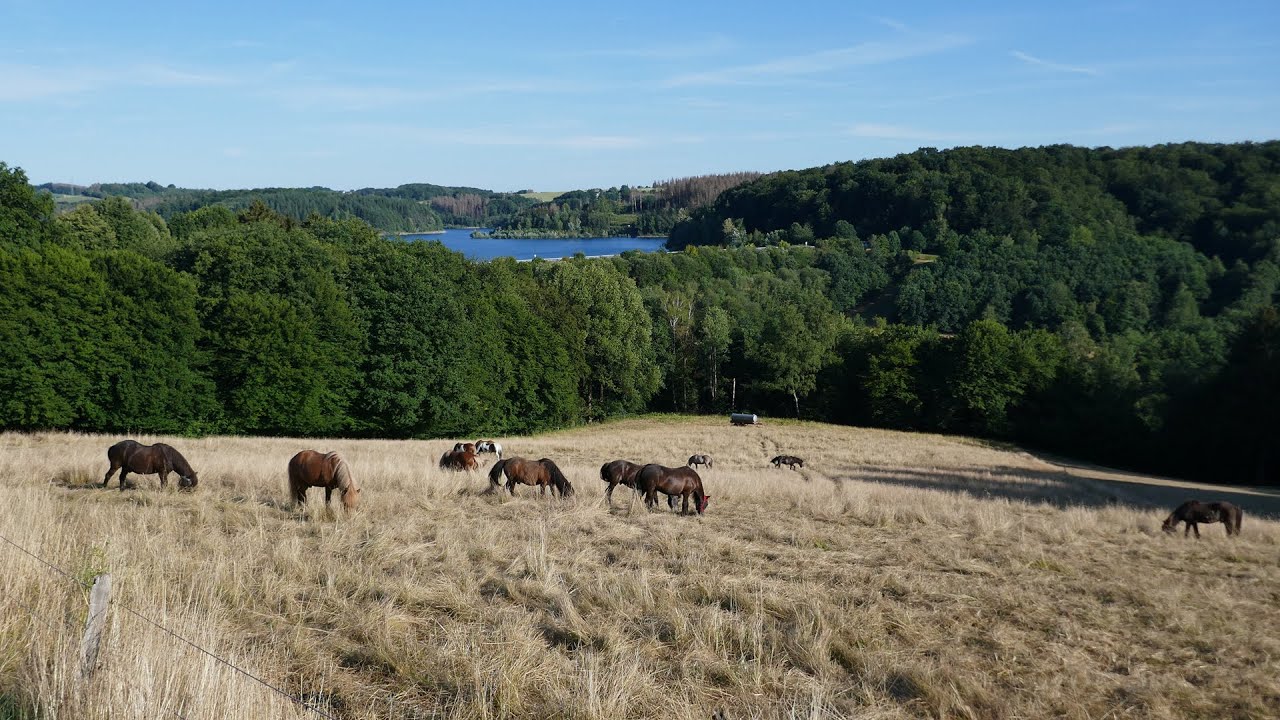 Wandern - Bergisches Land, Rund um die Große Dhünntalsperre