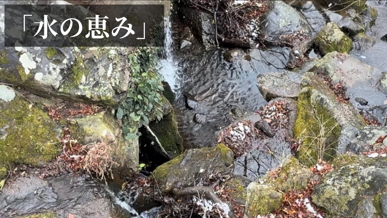 【極上癒し】水の恵み。奈良・滝ノ口で感じる幽かな水音 - 作業用・睡眠のための1時間（広告なし・高音質 ） | Faint Water Sounds at  Nara-1 Hour for sleep