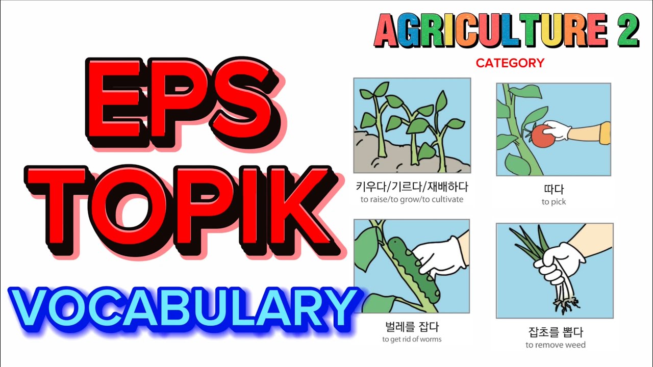 EPS TOPIK KOREAN VOCABULARY | Category : AGRICULTURE 2