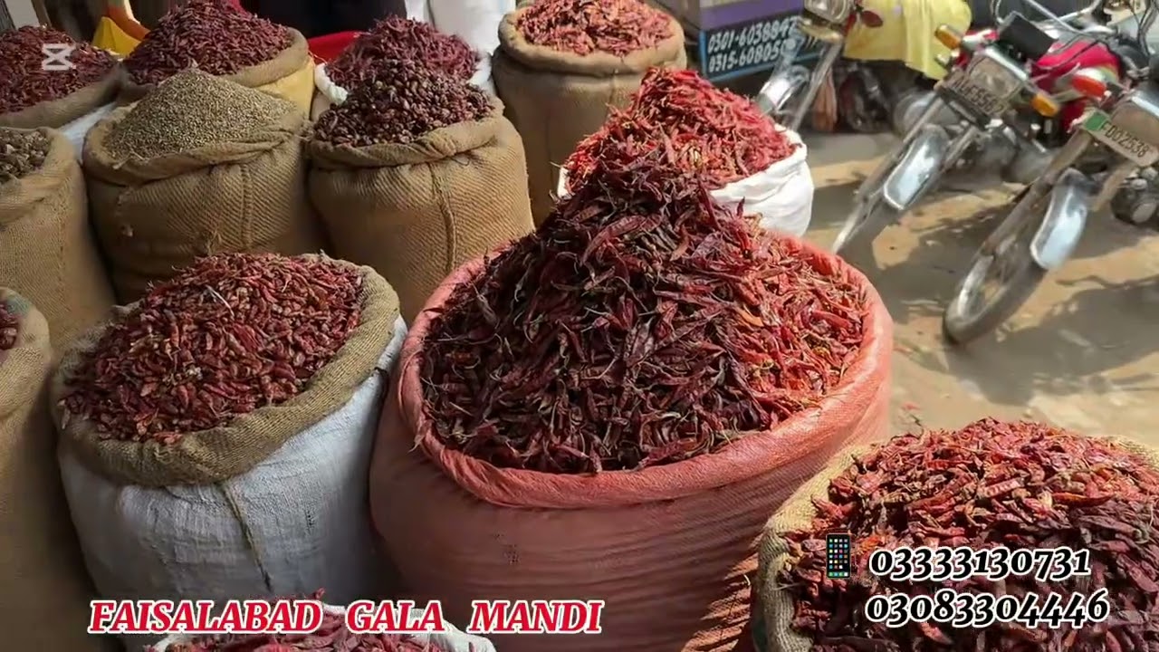 29_06_2025 ( FAISALABAD GALA MANDI ) #faisalabad #market #chilli