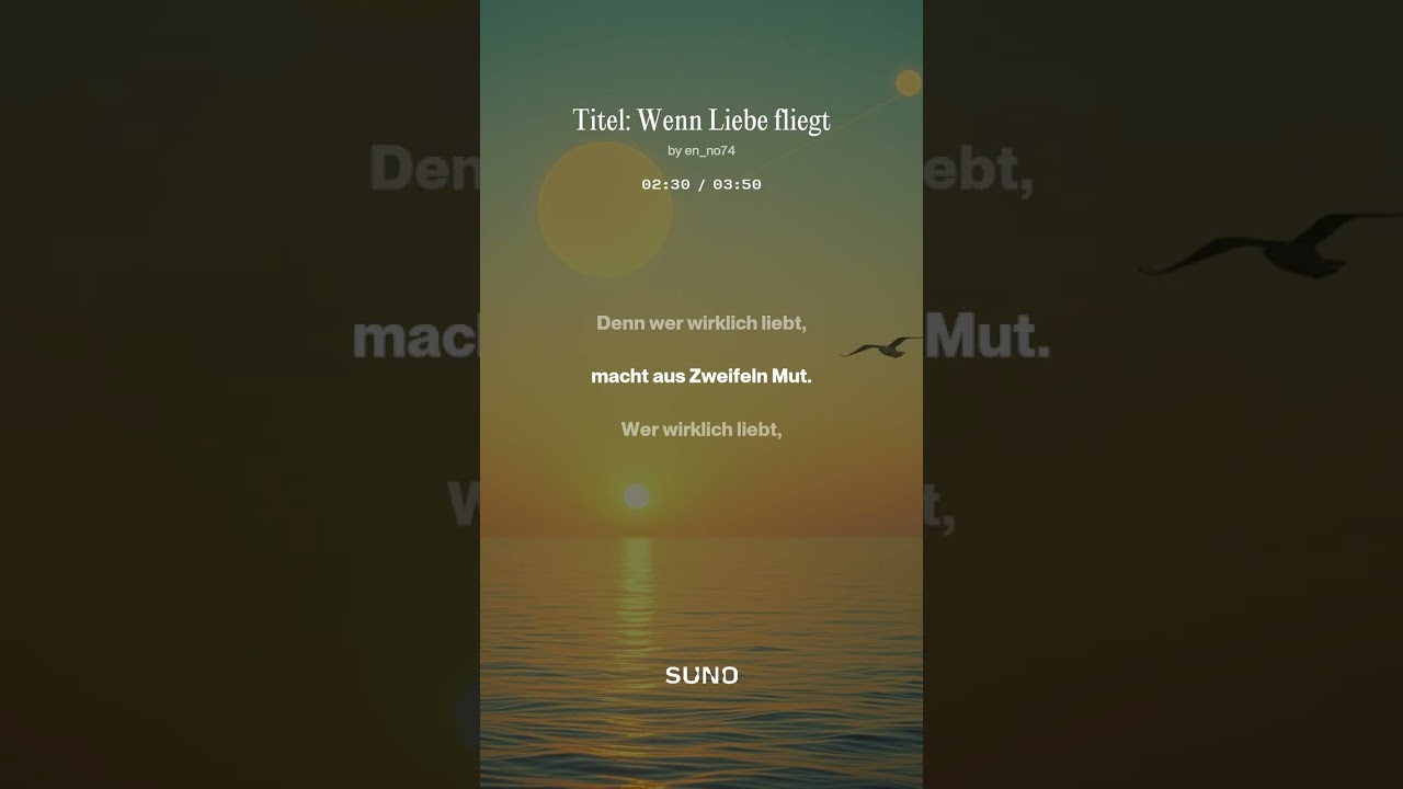 Wenn Liebe fliegt
