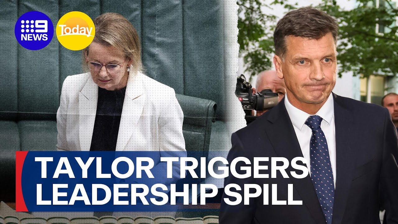 Angus Taylor quits frontbench, triggering Liberal leadership spill | 9 News Australia