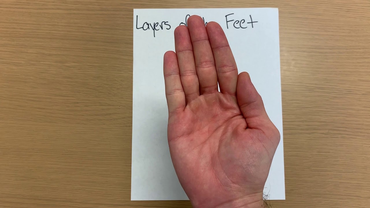 Handsigns for all the layers of the feet
