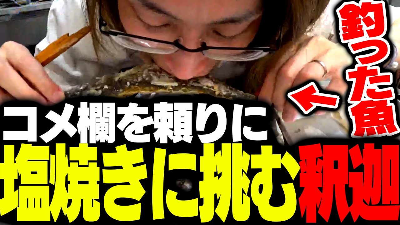 自分で釣った魚を、コメ欄の情報を頼りに調理する釈迦