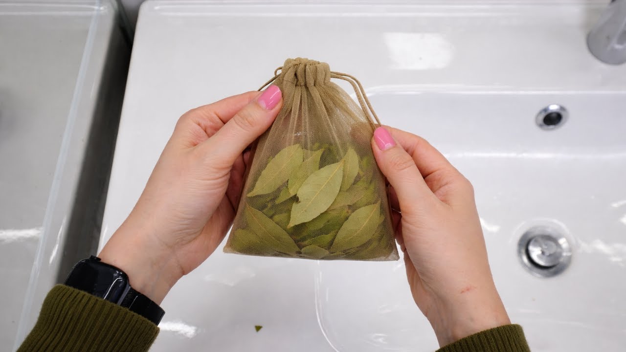 Turn Your Shower Into a Mini Spa &ndash; With Just One Leaf!