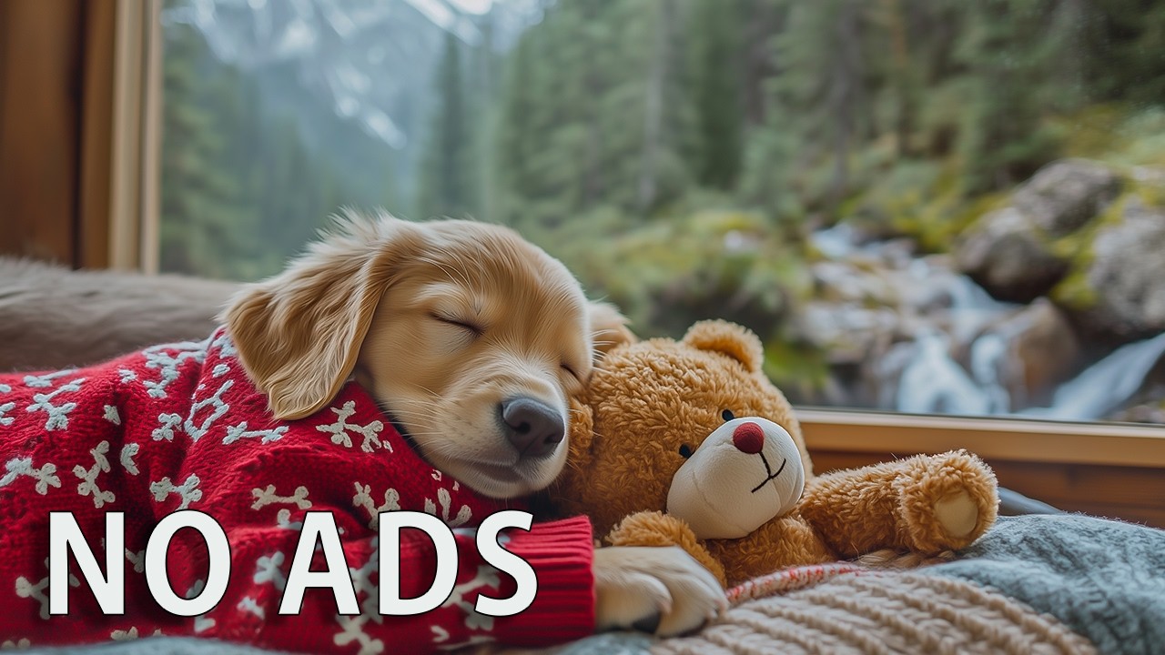 12 ЧАСОВ Спокойная музыка для собак 🐶🌸 Мягкая гармония 🎶 Мир в доме 💤 Без рекламы