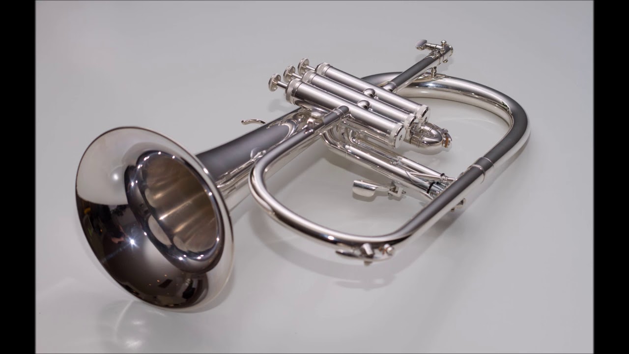 Skyfall Flugelhorn cover