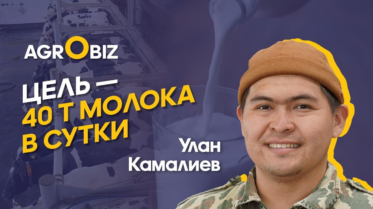 Молочное животноводство ОХМК: от кормов до молока | AgroBiz
